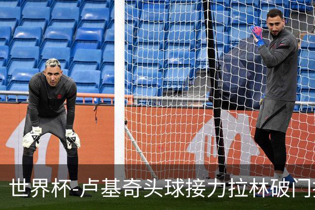 世界杯-卢基奇头球接力拉林破门扳平 加拿大1-1波黑