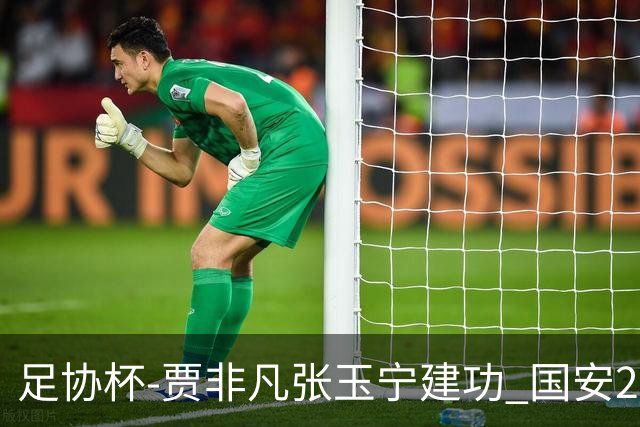 足协杯-贾非凡张玉宁建功 国安2-1大连可为晋级8强